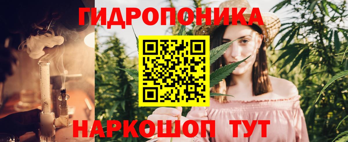 Каннабис White Widow Тавда
